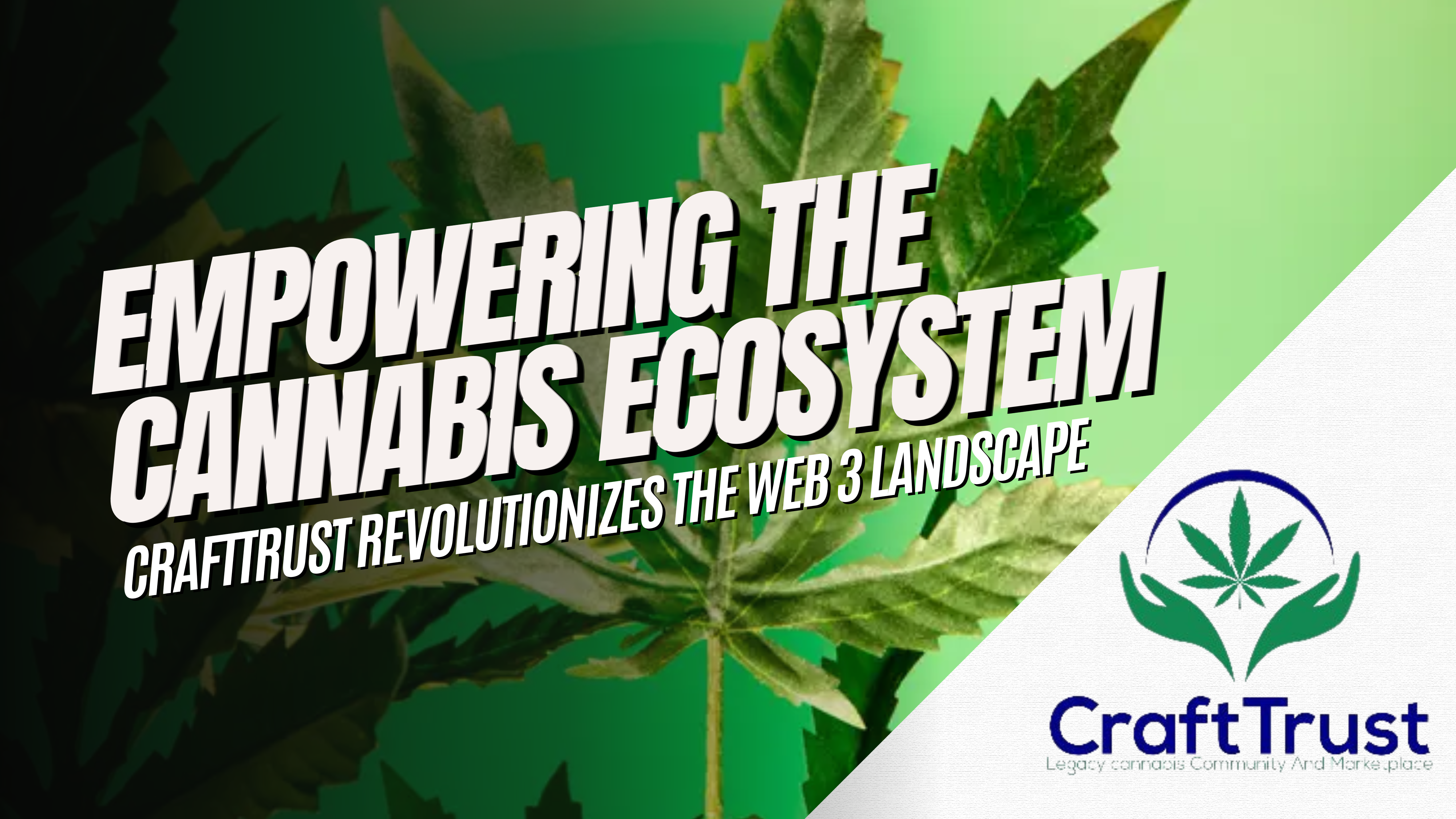CraftTrust, Empowering The Cannabis Ecosystem