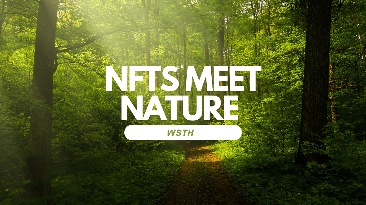 From Pixels to Pine Trees: Mike’s Wild Stag NFTs Promote Well-being and Nature